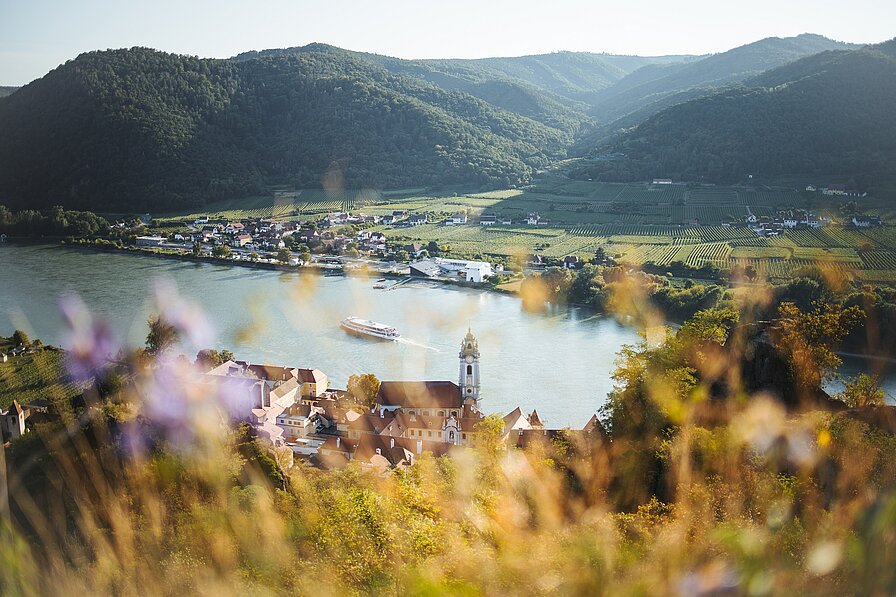 Blick vom Welterbesteig in die Wachau